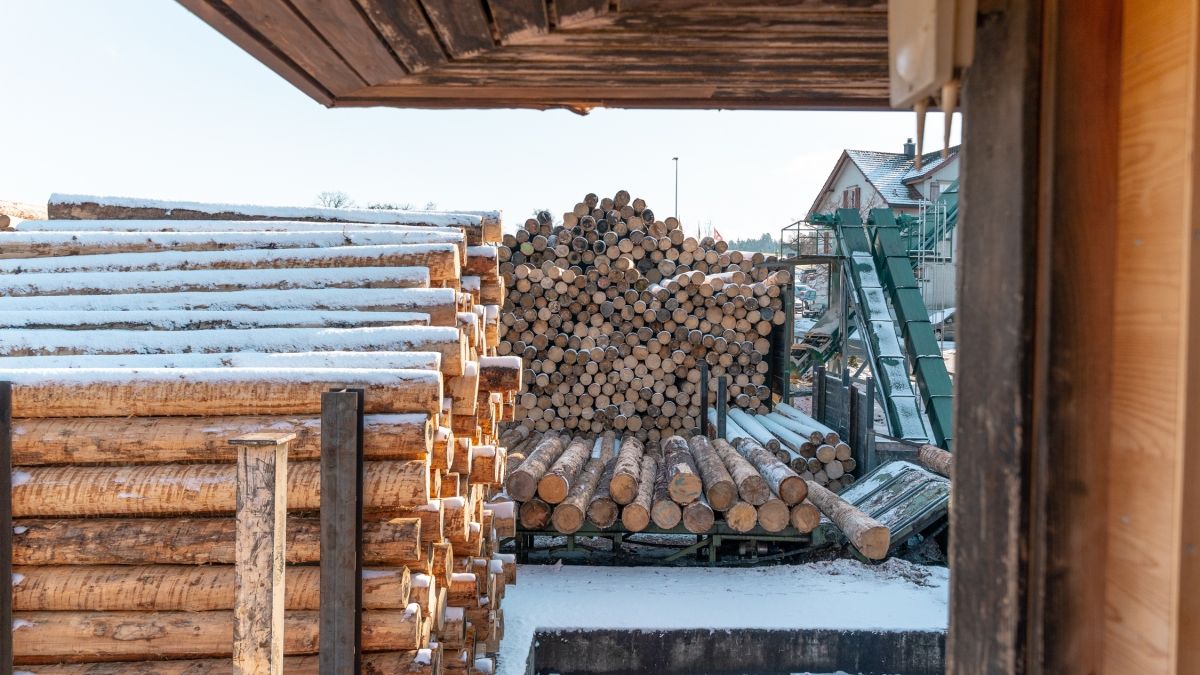 Urbach TowerSpruce wood logs at Lehamman Holzwerk AG 