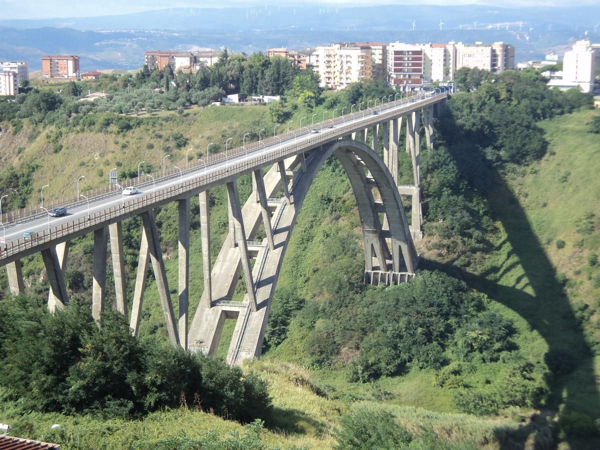 Fausto Bisantis Bridge 