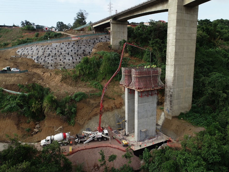Virilla Viaduct (RN 32) Climbing formwork for pier construction