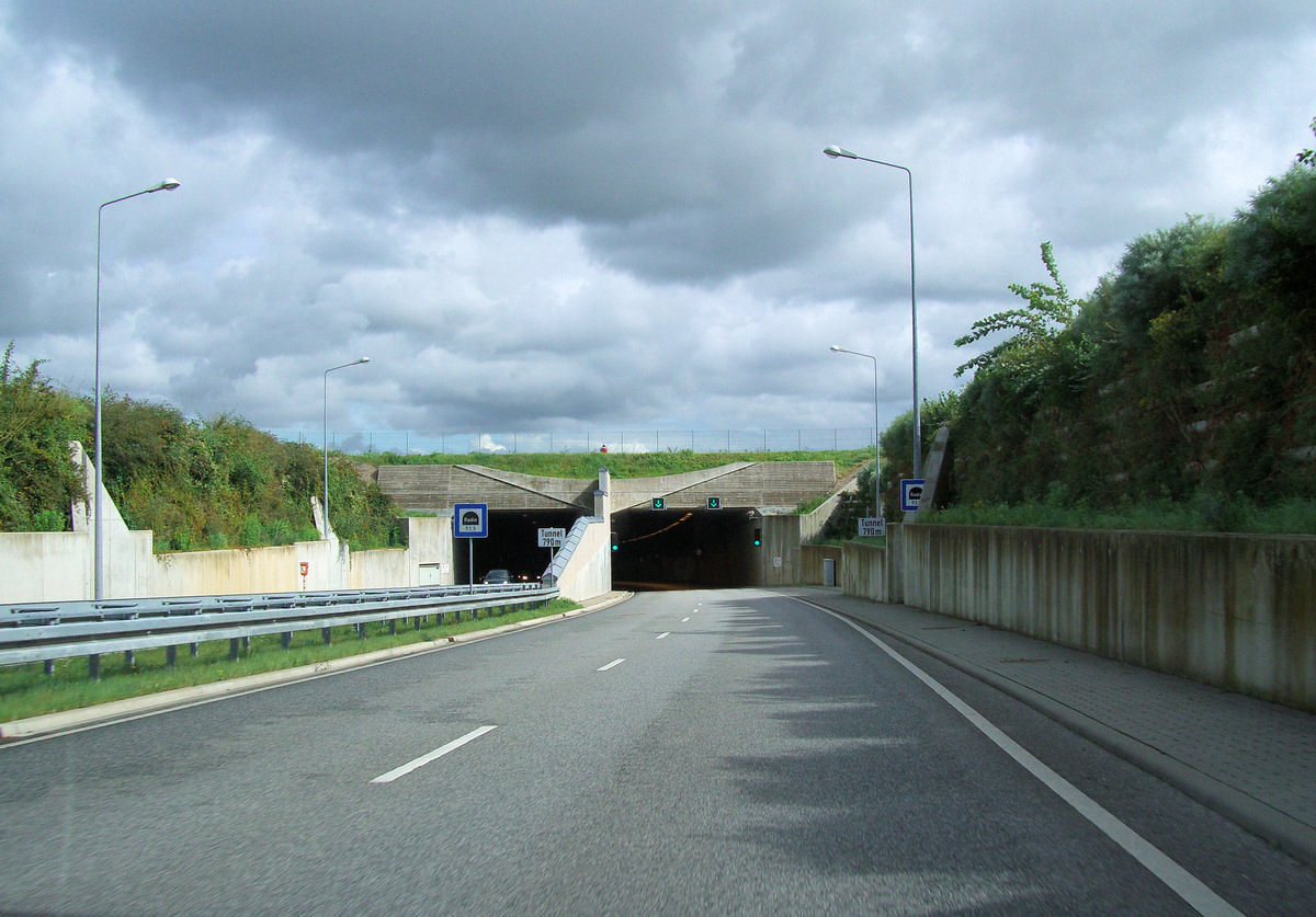 Warnow Tunnel 