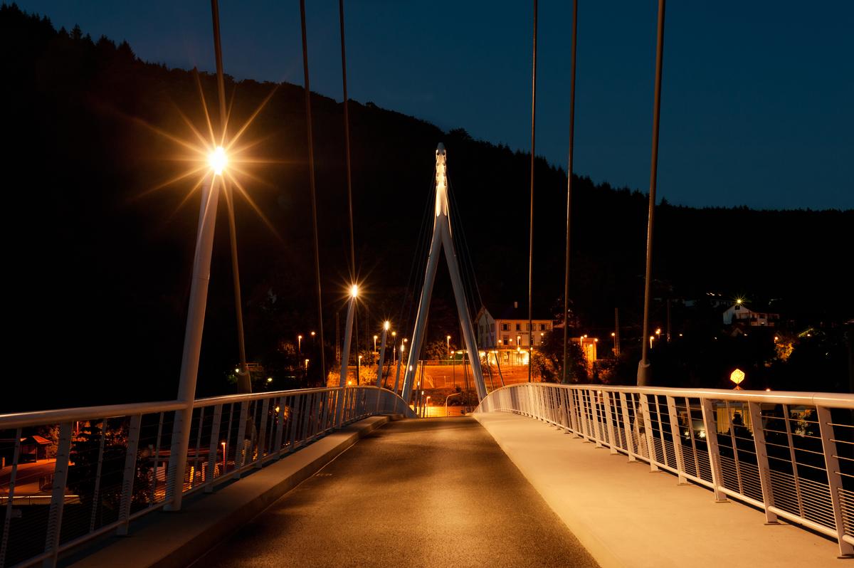 Neckarbrücke Zwingenberg 