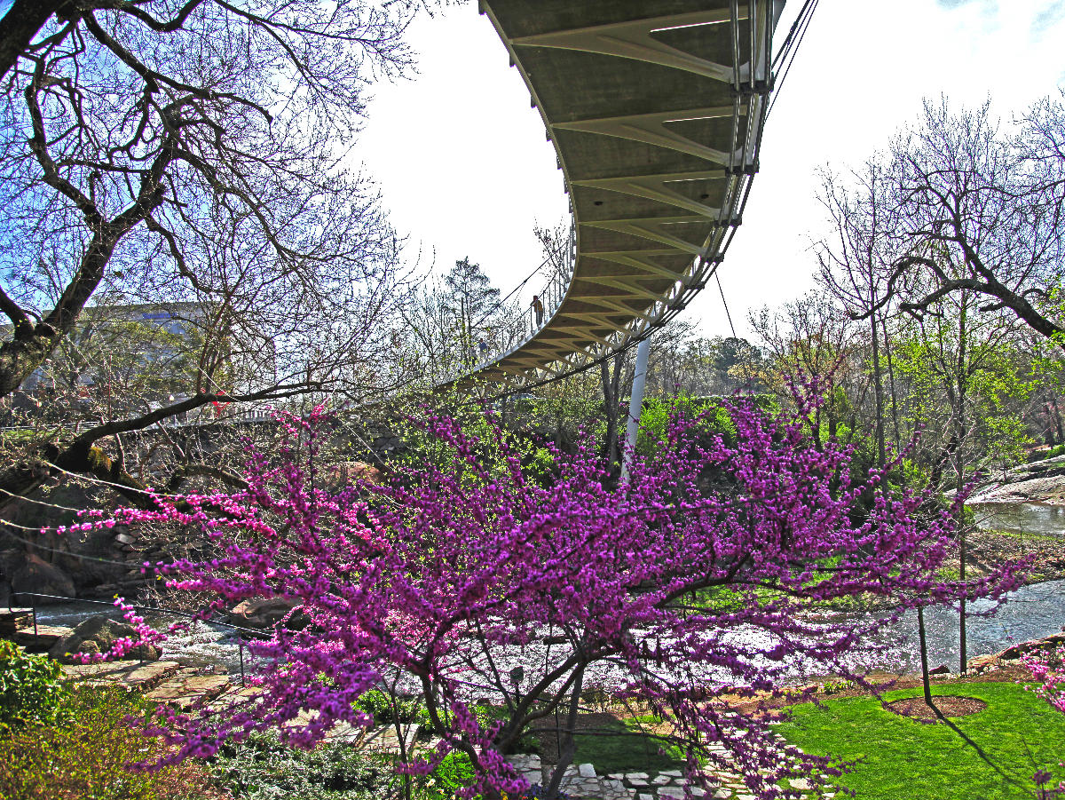 Liberty Bridge 