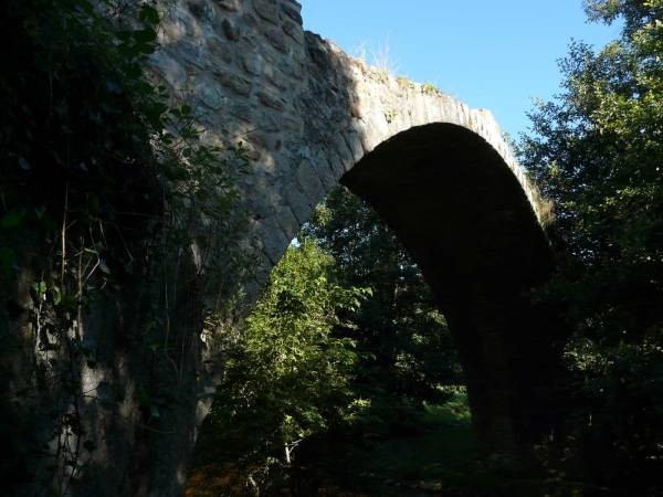 Pont du DiableVue depuis l'amont rive gauche 
