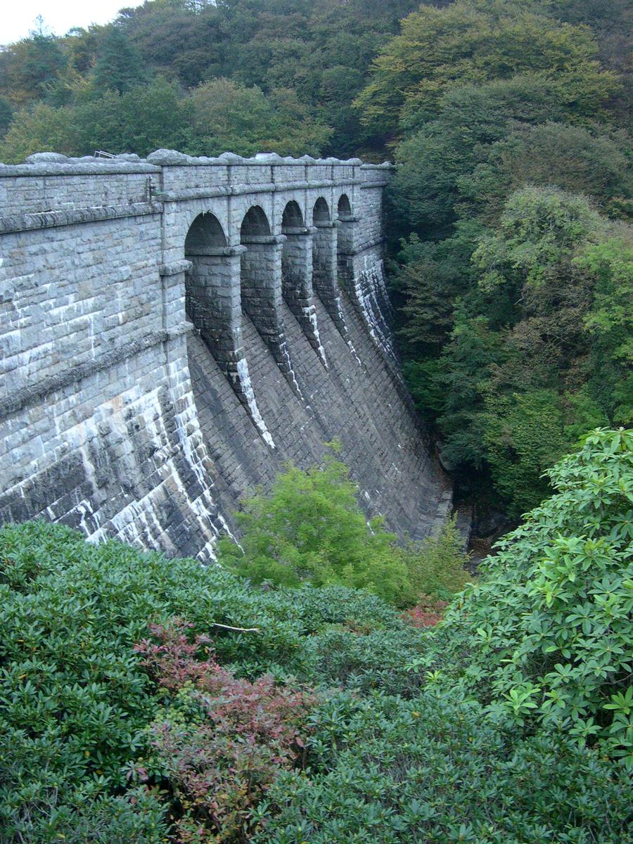 Burrator Dam - Meavy - Devon, Angleterre, Royaume-Uni 
