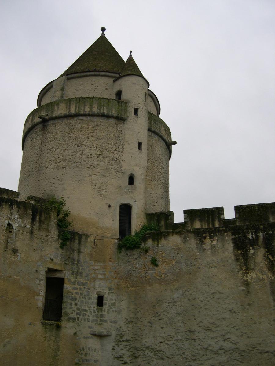 Château de Blandy-les-Tours, Seine-et-Marne (77), Ile de France, France 