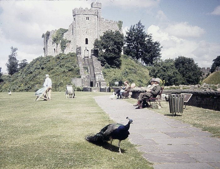 Burg Cardiff 