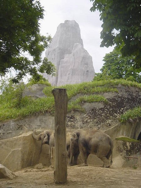Grand Rocher im Zoo von Vincennes (Paris) 