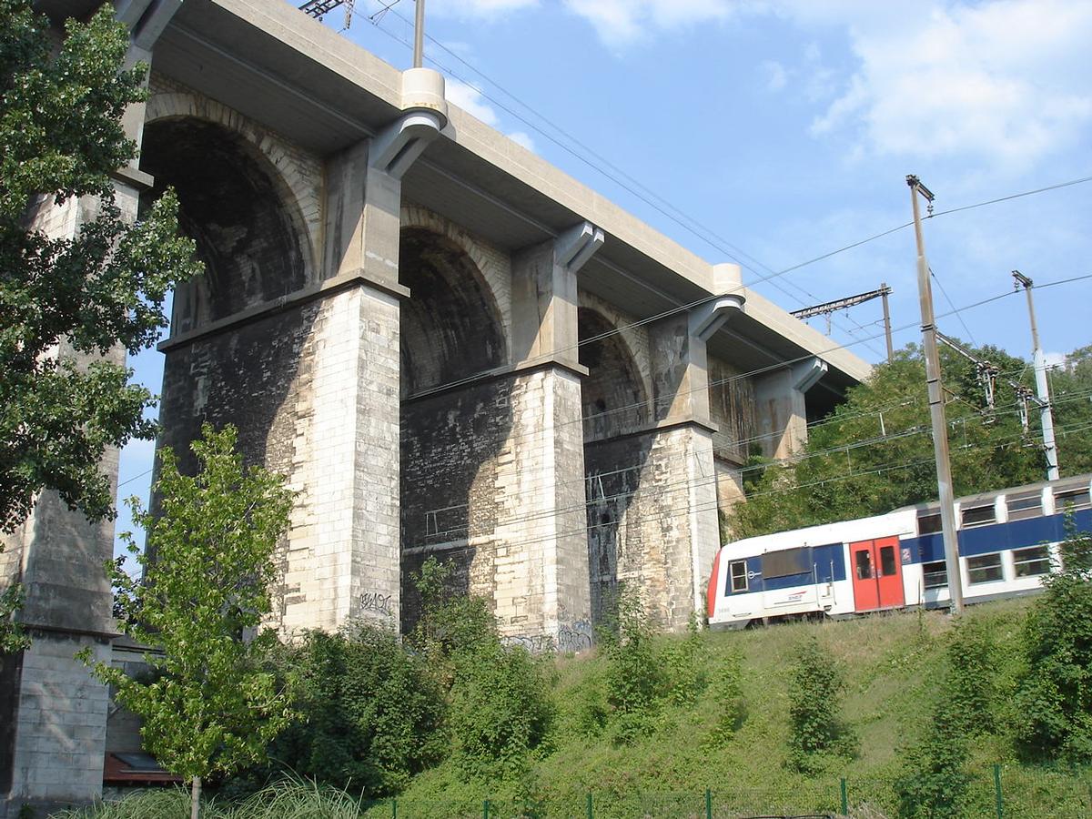 Ligne Paris-Invalides à Versailles-Rive-Gauche. Passage sous le viaduc de Meudon 
