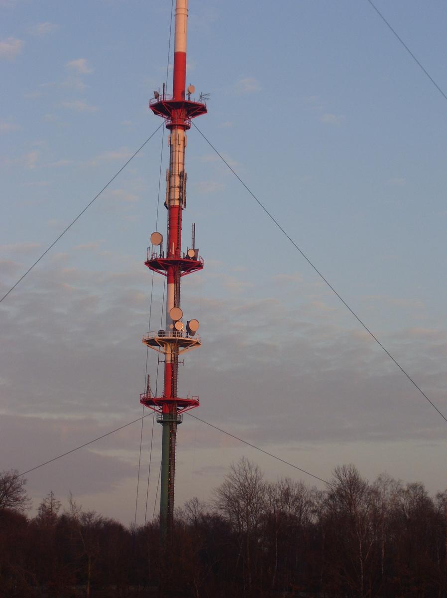 Langenburg - Transmission Tower 