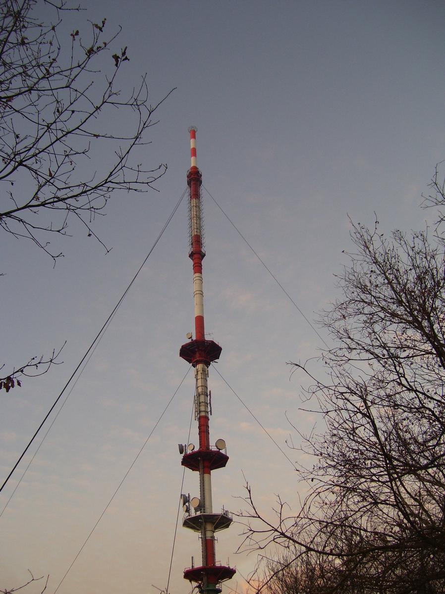 Langenburg - Transmission Tower 