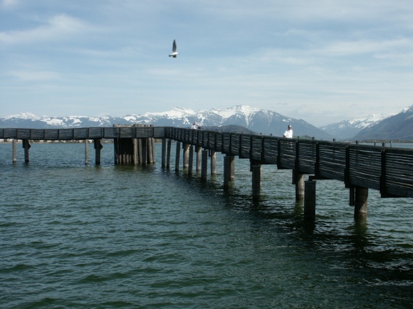 Züricher-See-Steg 