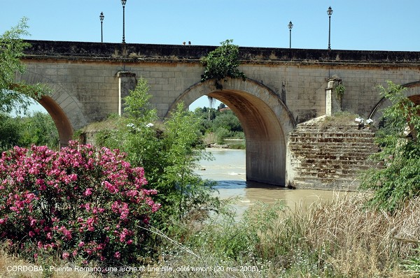 Roman Bridge at Cordoba 