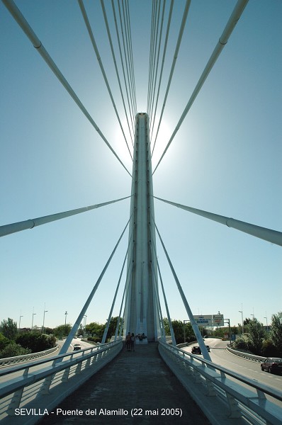 SEVILLA – Puente del Alamillo, la double rangée de haubans est ancrée à la poutre centrale, de part et d'autre de l'allée piétonnière 