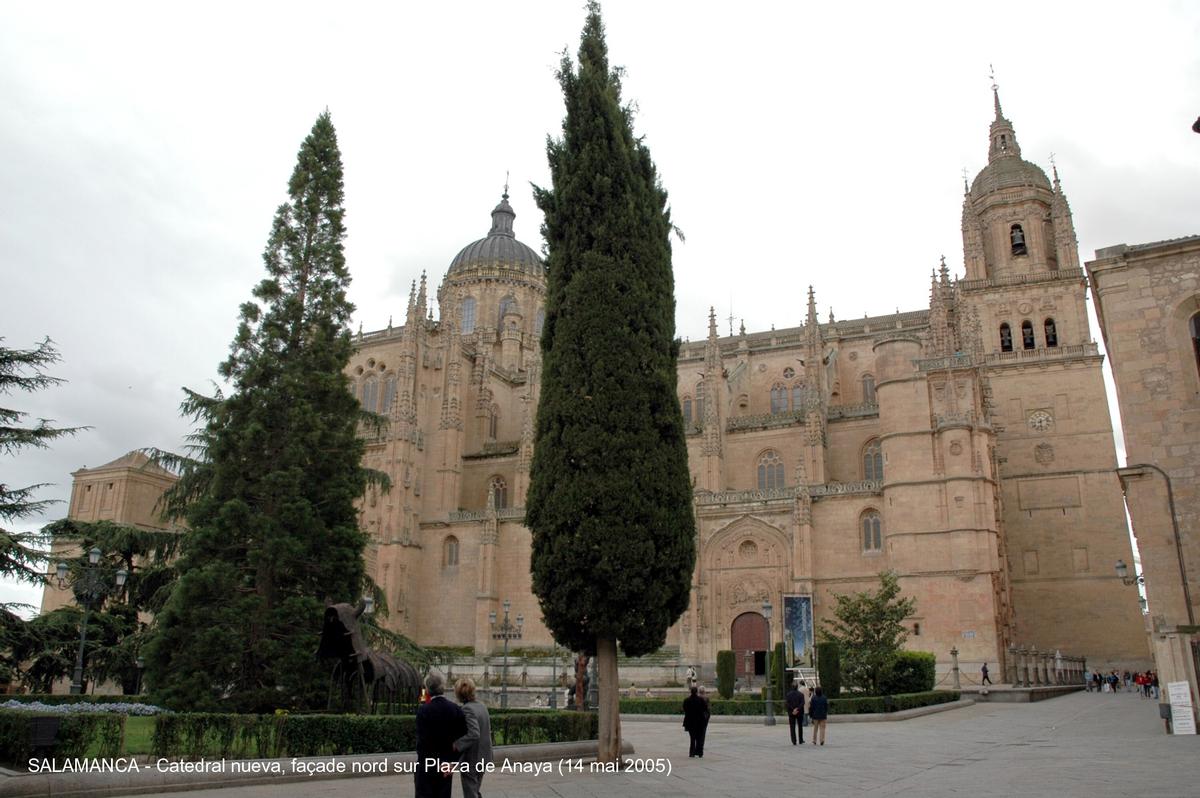 Fiche média no. 45306 SALAMANCA (Castilla y León) – La Cathédrale nouvelle, construite à partir de 1513 à côté de « Catedral vieja », avec laquelle elle communique par le collatéral sud. Principalement de style gothique, mais les styles Renaissance et baroque sont également présents, la riche façade ouest est caractéristique du gothique tardif