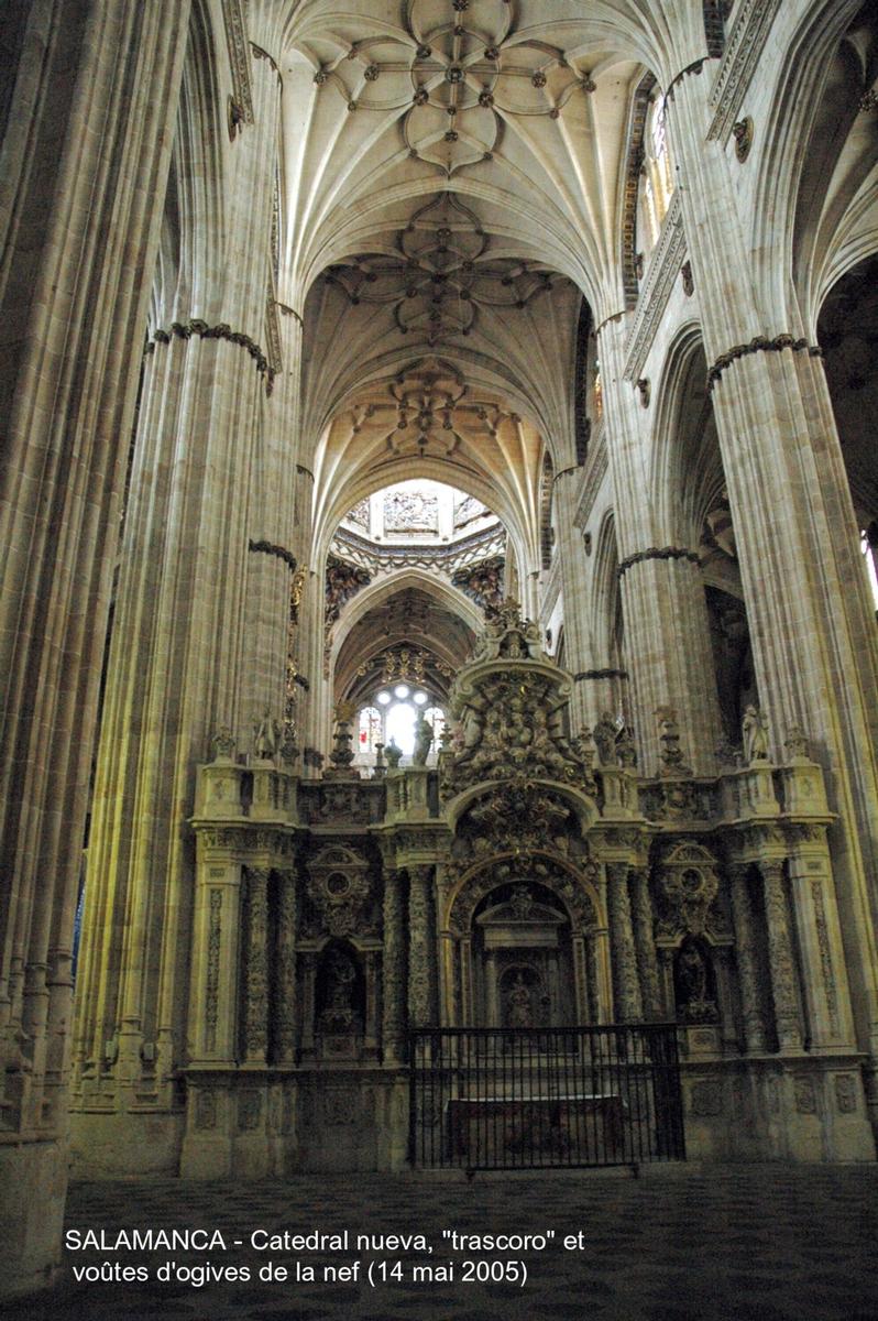 Fiche média no. 45307 SALAMANCA (Castilla y León) – La Cathédrale nouvelle, construite à partir de 1513 à côté de « Catedral vieja », avec laquelle elle communique par le collatéral sud. Principalement de style gothique, mais les styles Renaissance et baroque sont également présents, la riche façade ouest est caractéristique du gothique tardif