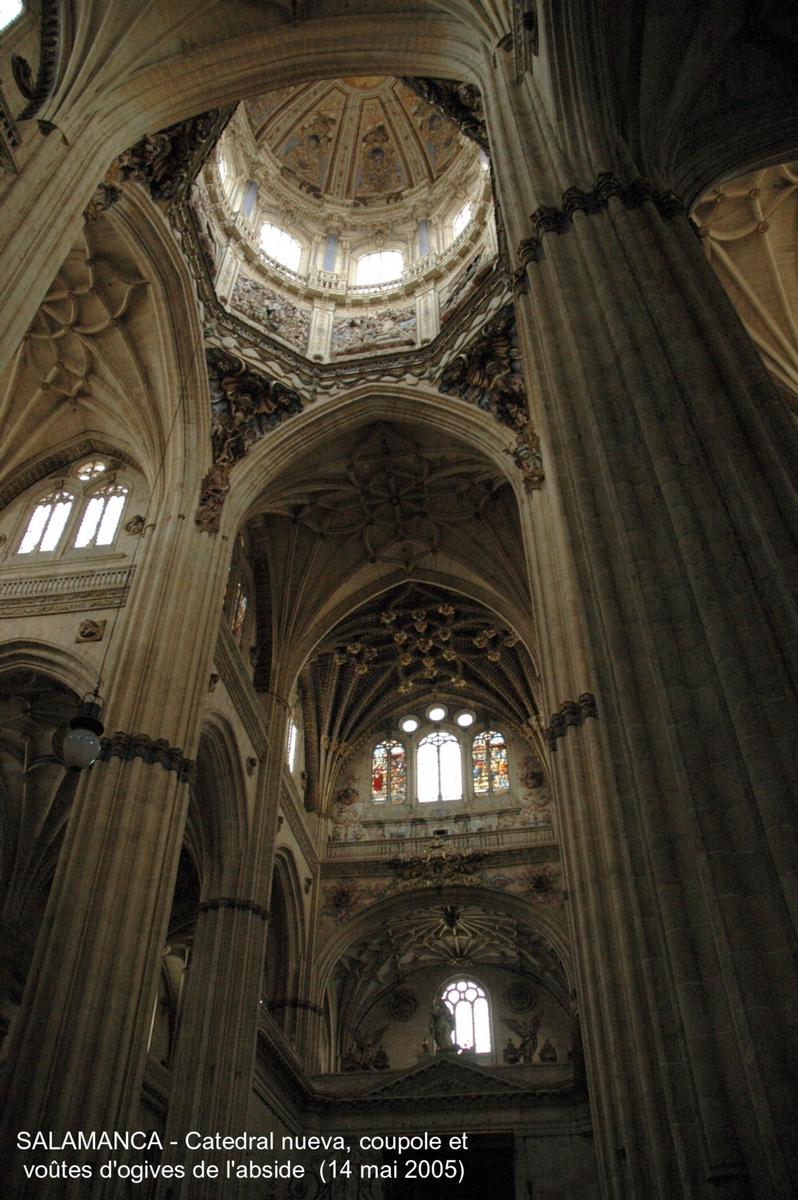 Fiche média no. 45309 SALAMANCA (Castilla y León) – La Cathédrale nouvelle, construite à partir de 1513 à côté de « Catedral vieja », avec laquelle elle communique par le collatéral sud. Principalement de style gothique, mais les styles Renaissance et baroque sont également présents, la riche façade ouest est caractéristique du gothique tardif