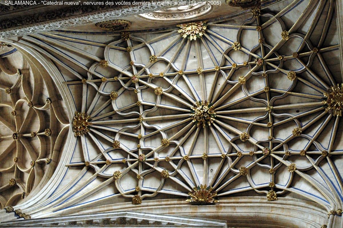 Fiche média no. 45312 SALAMANCA (Castilla y León) – La Cathédrale nouvelle, construite à partir de 1513 à côté de « Catedral vieja », avec laquelle elle communique par le collatéral sud. Principalement de style gothique, mais les styles Renaissance et baroque sont également présents, la riche façade ouest est caractéristique du gothique tardif