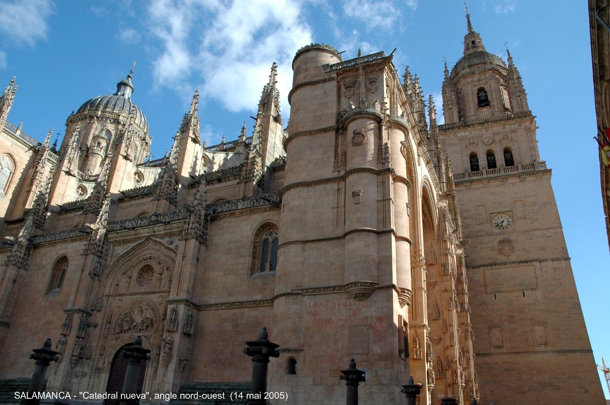 Fiche média no. 45314 SALAMANCA (Castilla y León) – La Cathédrale nouvelle, construite à partir de 1513 à côté de « Catedral vieja », avec laquelle elle communique par le collatéral sud. Principalement de style gothique, mais les styles Renaissance et baroque sont également présents, la riche façade ouest est caractéristique du gothique tardif