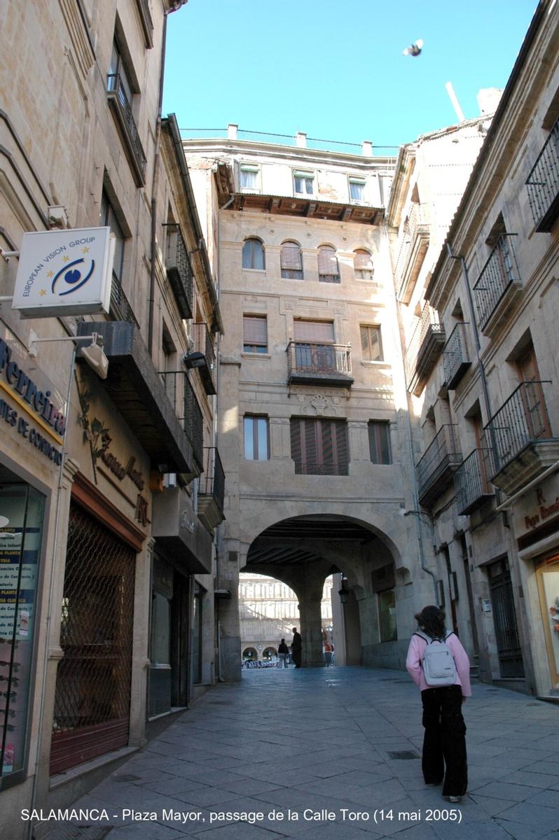 Fiche média no. 45515 SALAMANCA (Castilla y León) – « Plaza Mayor », dessinée par les frères Churriguera et construite de 1729 à 1755, cette place présente une unité architecturale exceptionnelle dont la beauté est rehaussée par le grés doré de ses façades