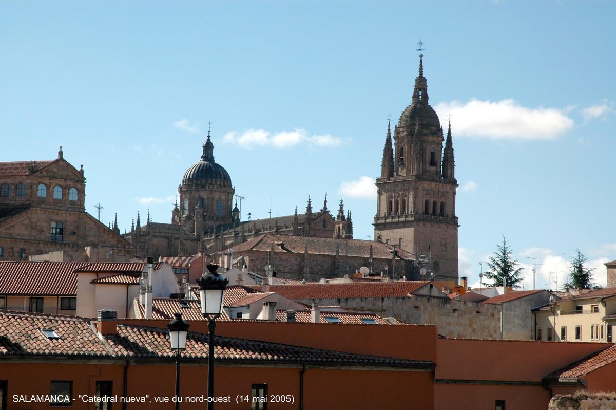 Fiche média no. 45316 SALAMANCA (Castilla y León) – La Cathédrale nouvelle, construite à partir de 1513 à côté de « Catedral vieja », avec laquelle elle communique par le collatéral sud. Principalement de style gothique, mais les styles Renaissance et baroque sont également présents, la riche façade ouest est caractéristique du gothique tardif