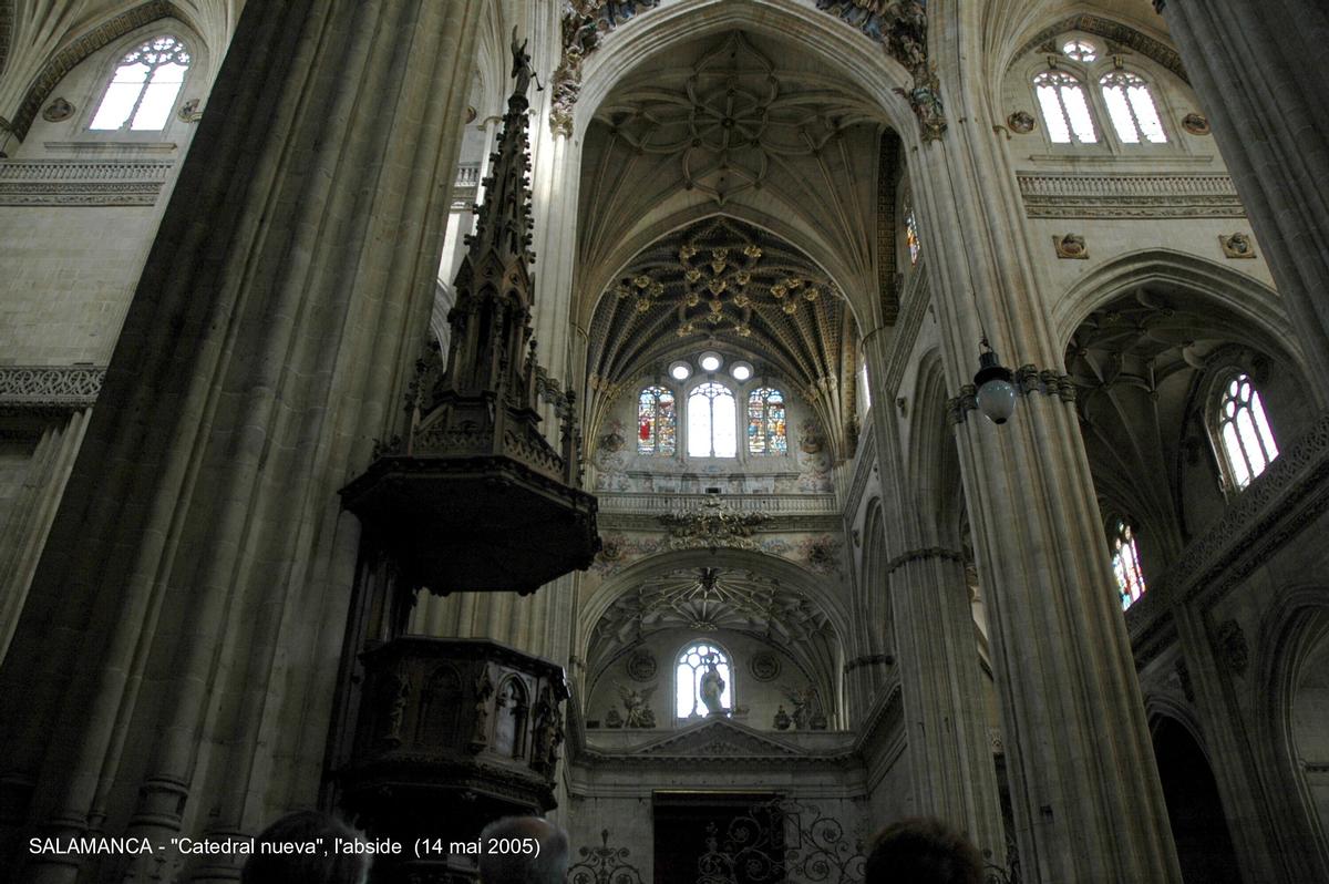 Fiche média no. 45321 SALAMANCA (Castilla y León) – La Cathédrale nouvelle, construite à partir de 1513 à côté de « Catedral vieja », avec laquelle elle communique par le collatéral sud. Principalement de style gothique, mais les styles Renaissance et baroque sont également présents, la riche façade ouest est caractéristique du gothique tardif
