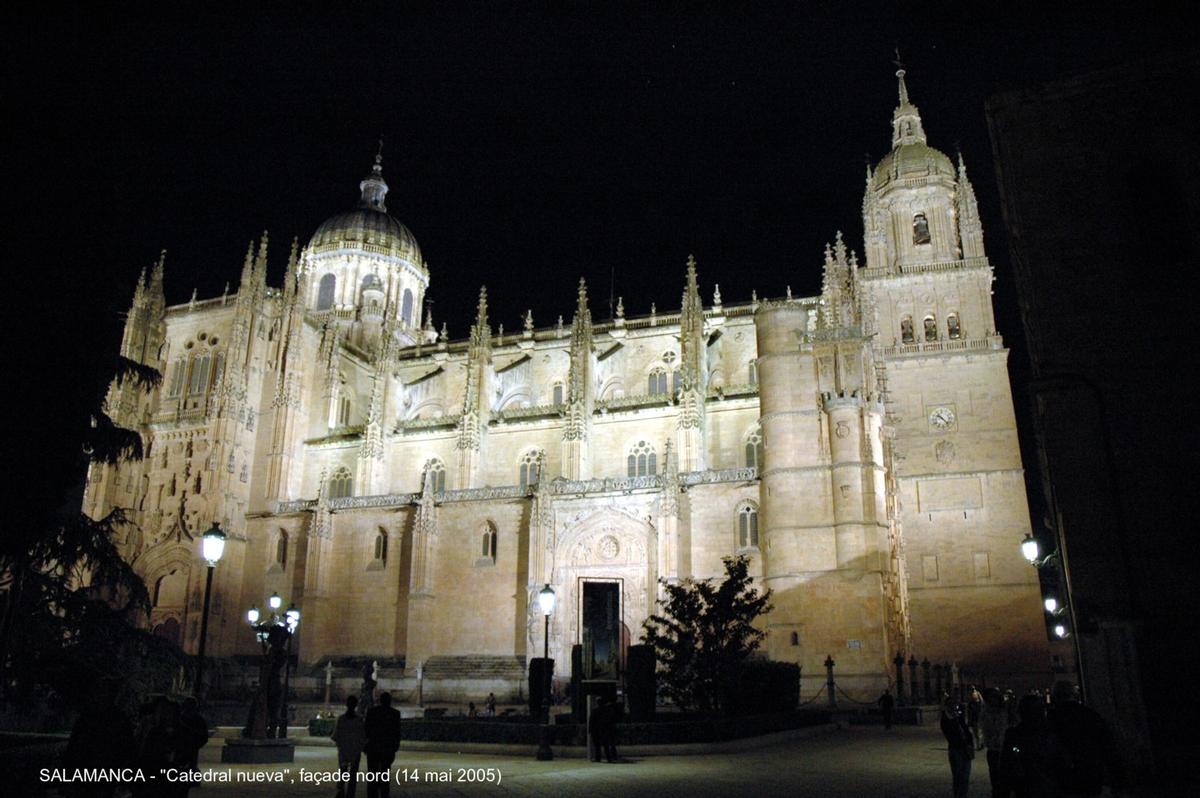 Fiche média no. 45329 SALAMANCA (Castilla y León) – La Cathédrale nouvelle, construite à partir de 1513 à côté de « Catedral vieja », avec laquelle elle communique par le collatéral sud. Principalement de style gothique, mais les styles Renaissance et baroque sont également présents, la riche façade ouest est caractéristique du gothique tardif