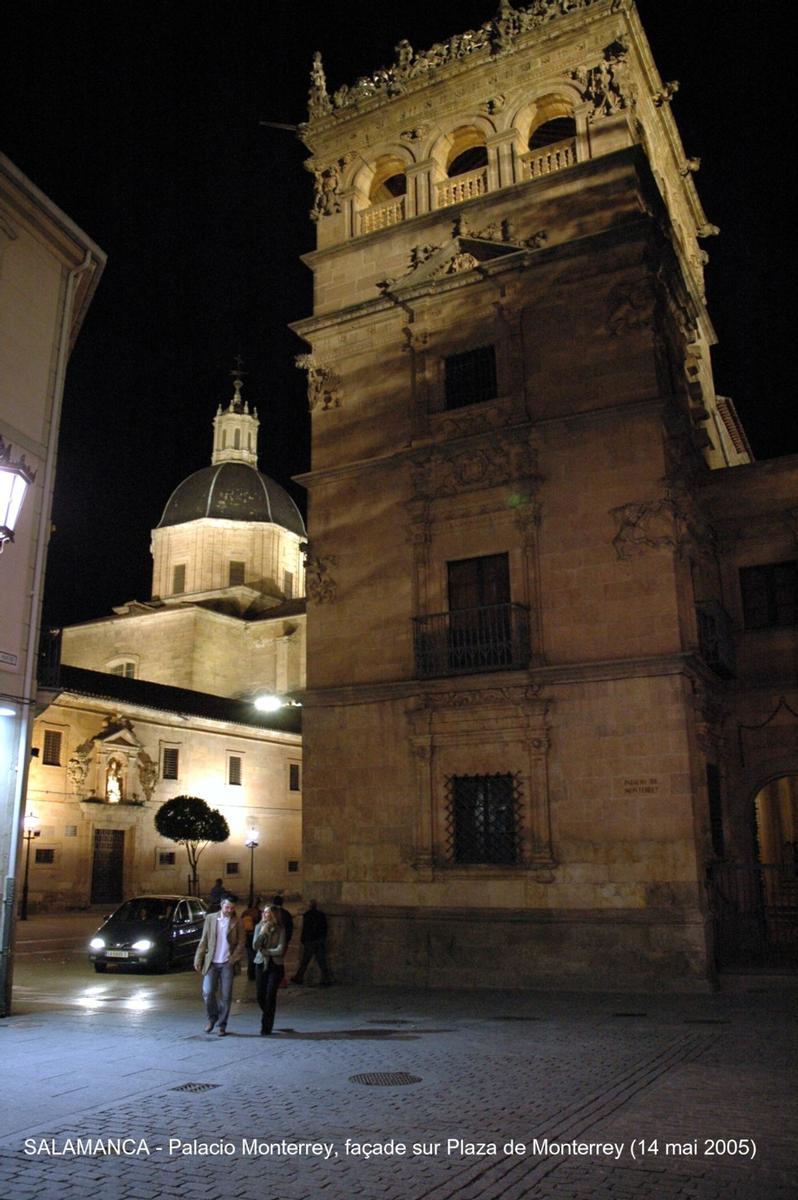 Palacio Monterrey, Salamanca 