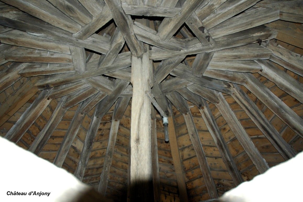 TOURNEMIRE (15310, Cantal, Auvergne) - Château d'Anjony, charpente d'un toit en poivrière TOURNEMIRE (15310, Cantal, Auvergne) - Château d'Anjony , charpente d'un toit en poivrière