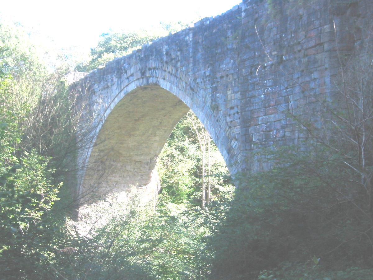 Causey Arch 