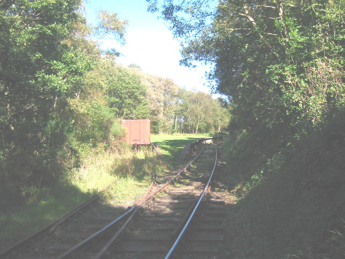 Causey ArchPlatform for the steam trains from Tanfield 