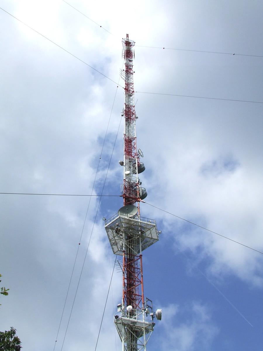 Émetteur TDF de Parthenay Émetteur (radio et télévision) de Parthenay situé sur le ban de la commune d'Amailloux avec une hauteur: 204.70 m