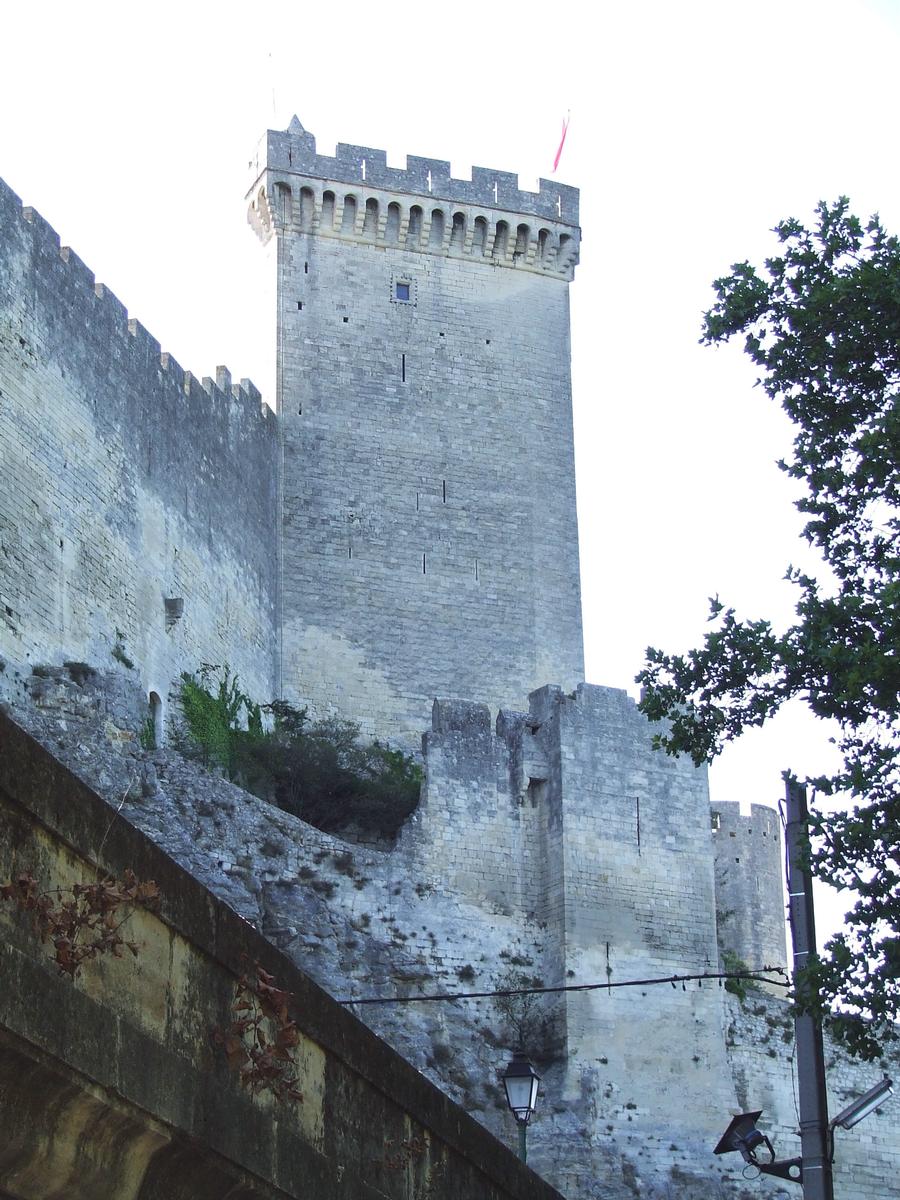 Château de Beaucaire 