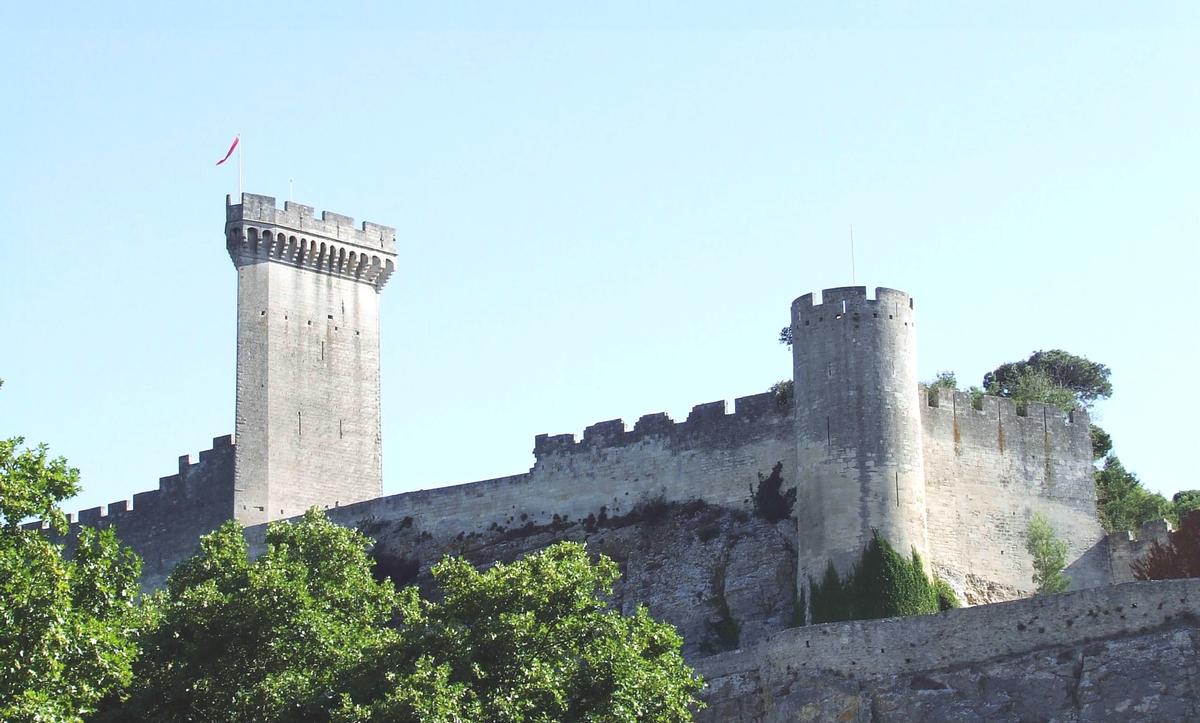 Beaucaire Castle 