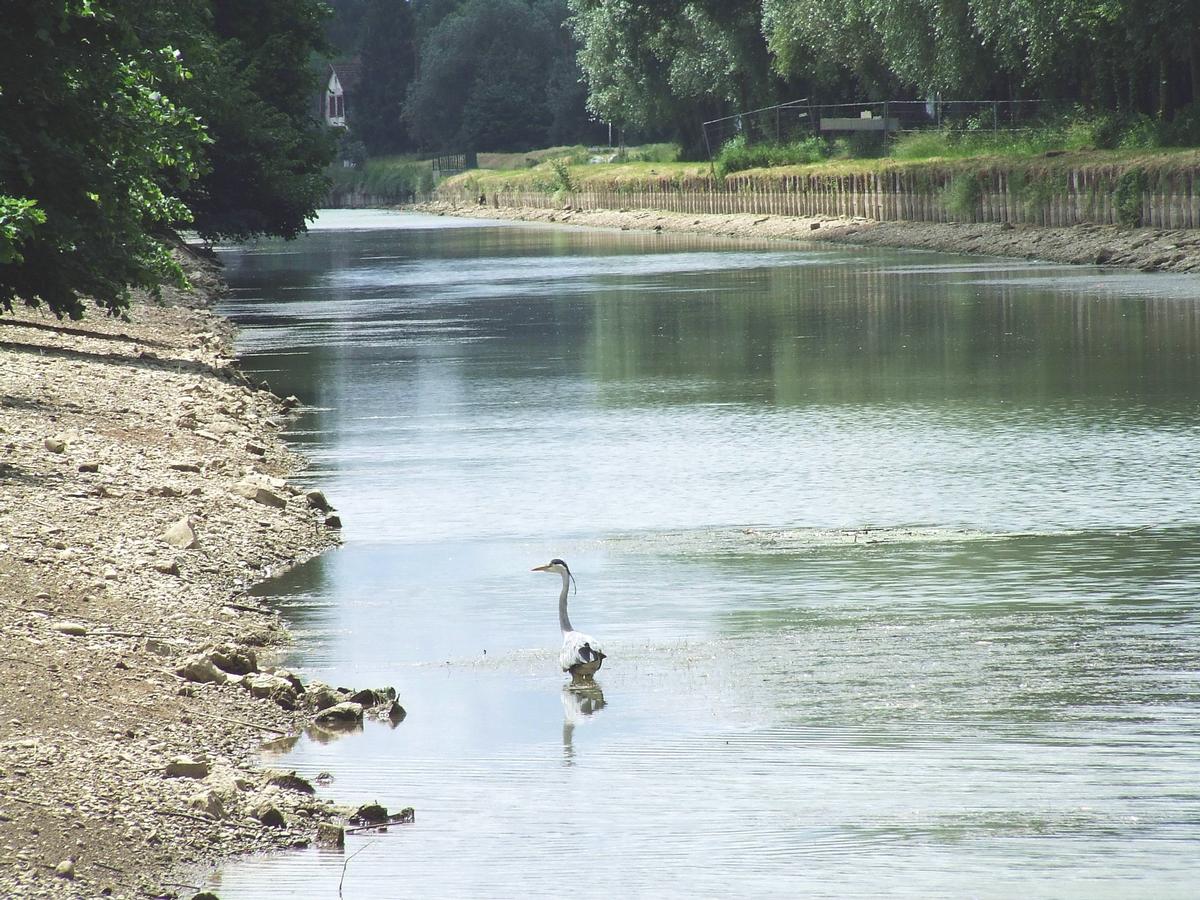 Canal du Rhône au Rhin à Brunstatt. (Zone en travaux- niveau abaissé) 