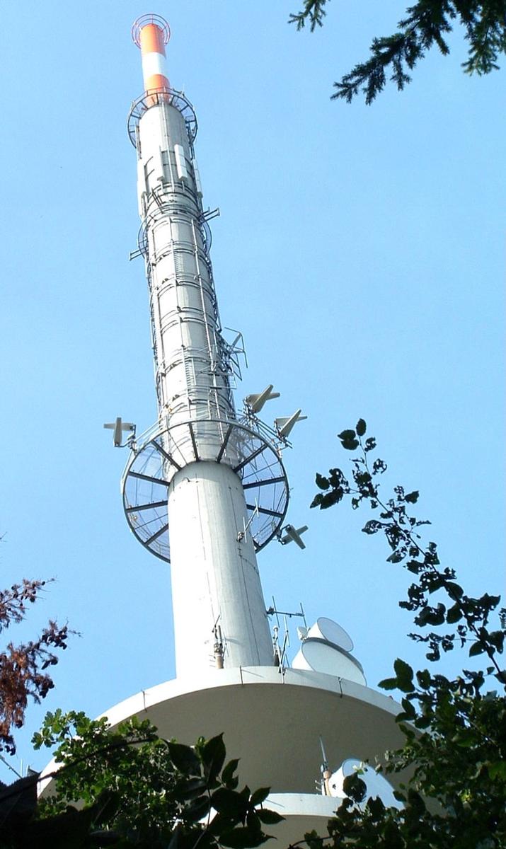 Freiburg transmitter, (Vogstburg - Totenkopf ) Kaiserstuhl / Germany 