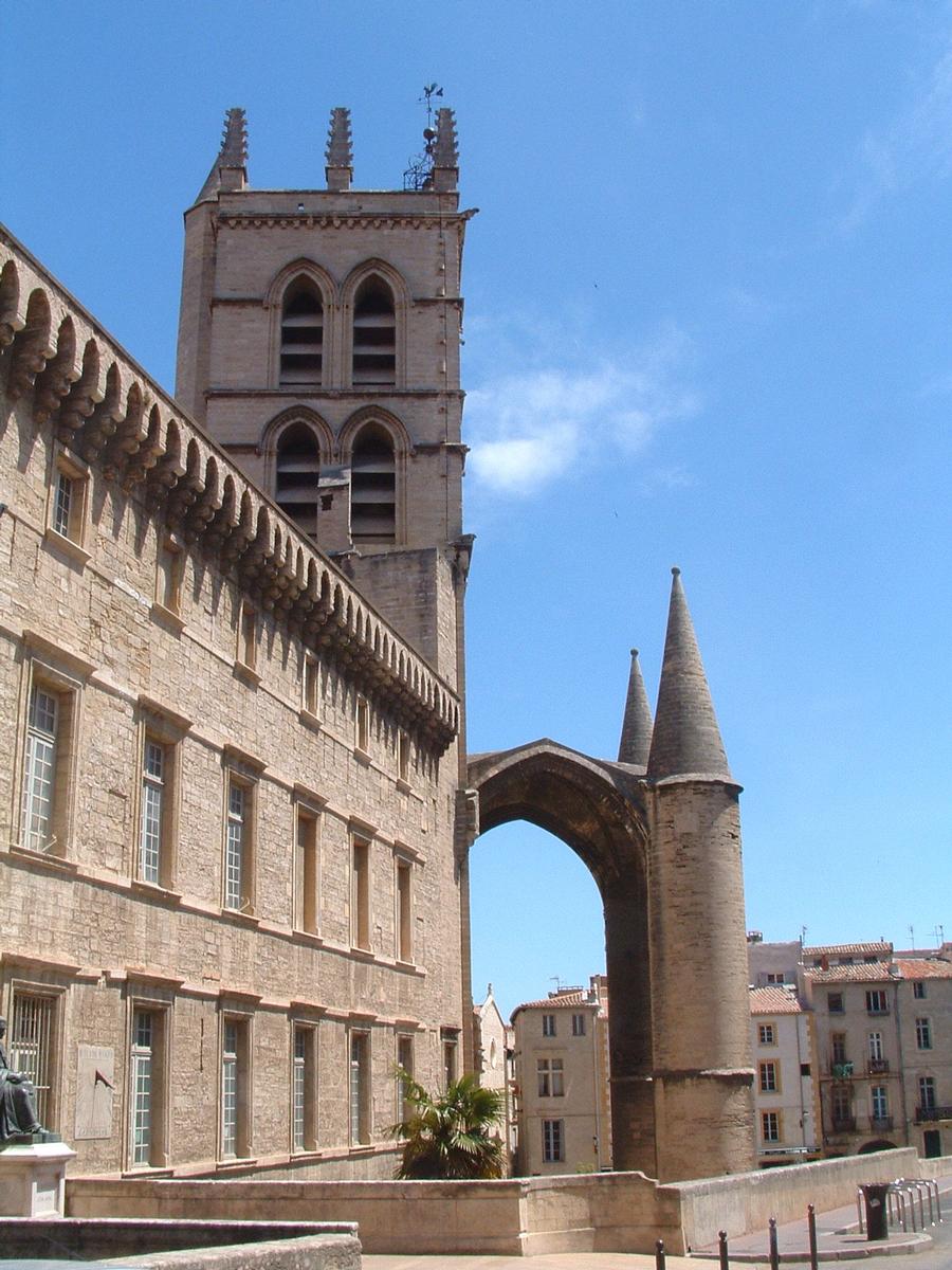 Kathedrale in Montpellier 