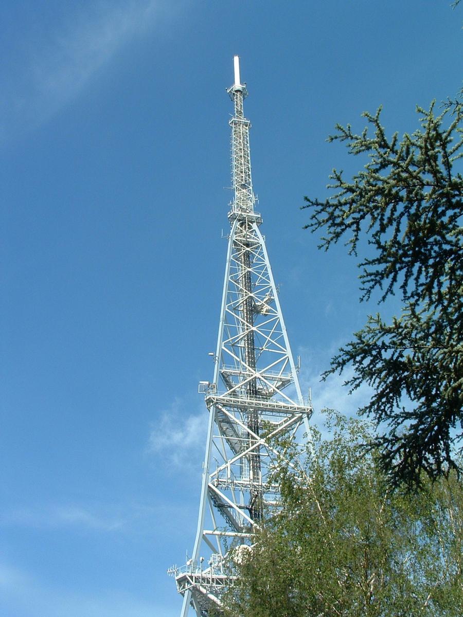 Mulhouse-Belvédère Transmission Tower 