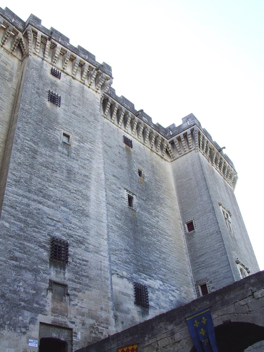 Château de Tarascon 