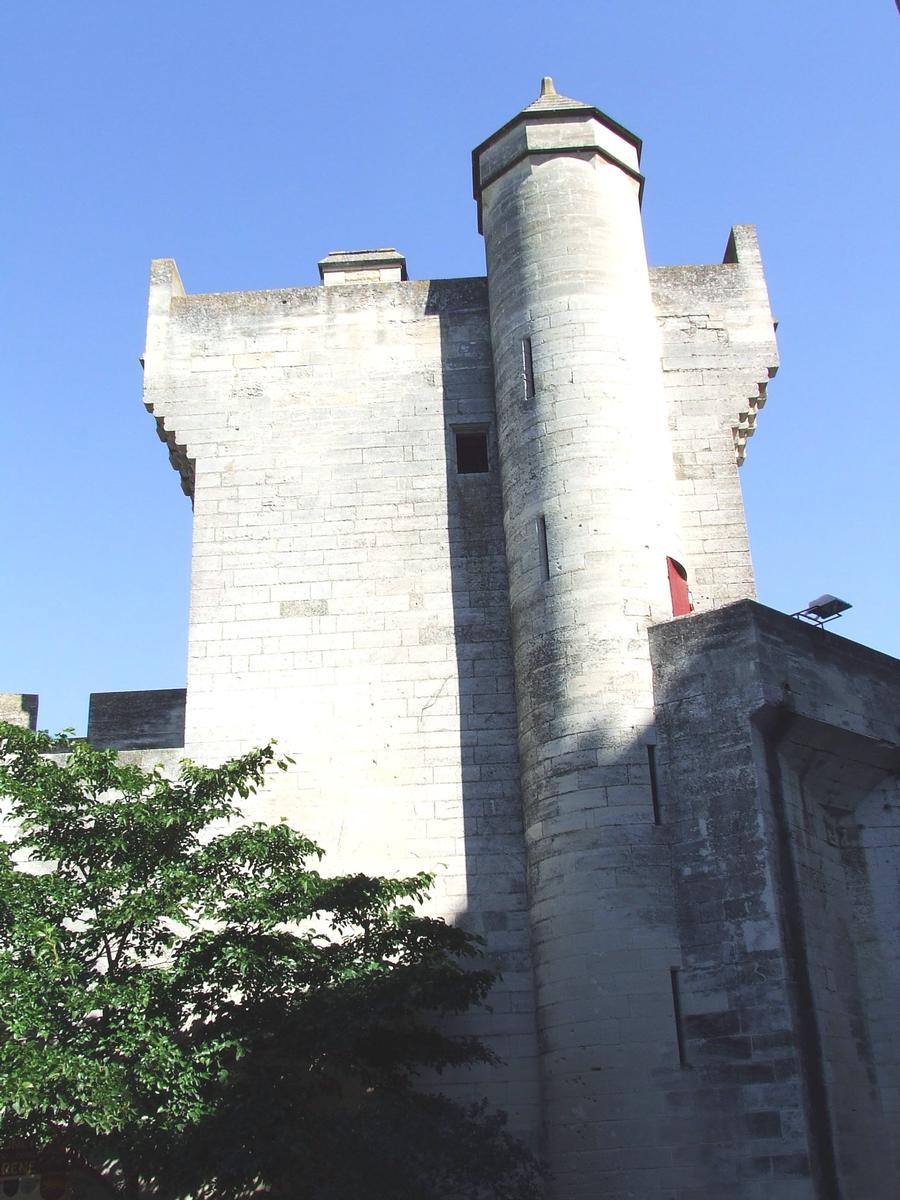 Tarascon Castle 