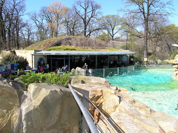 Maison des penguins au zoo de Berlin 