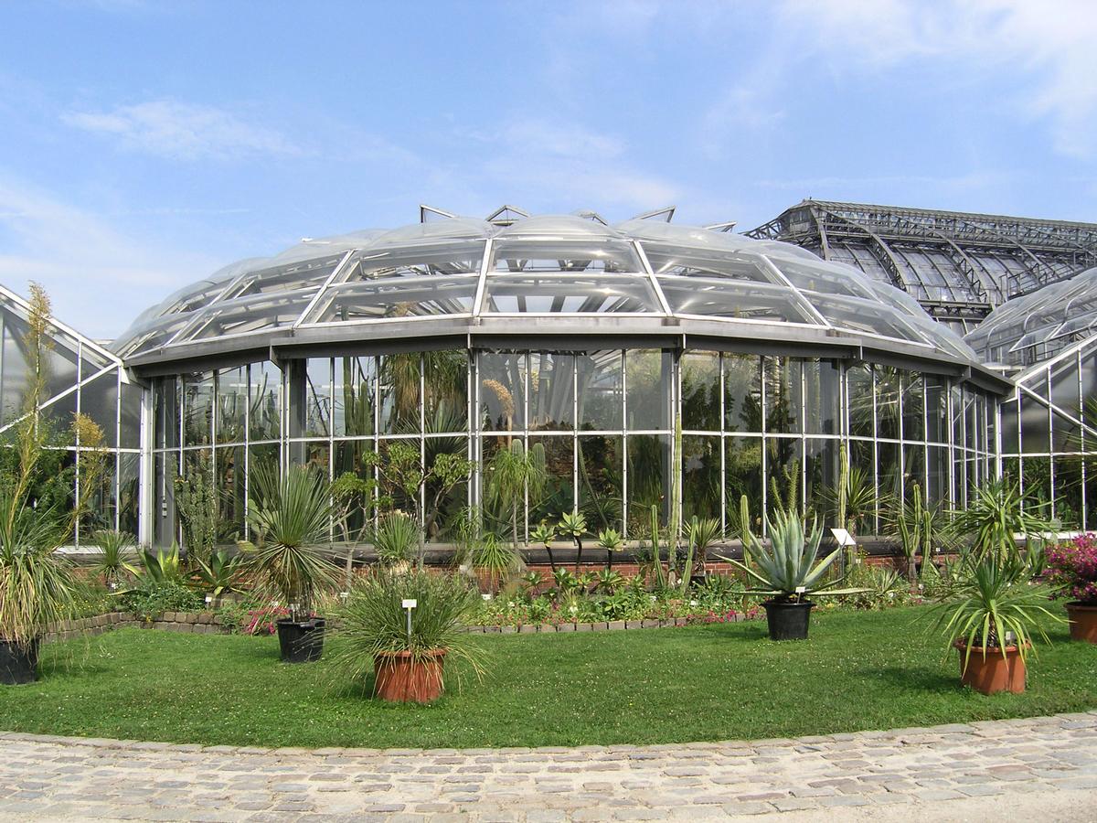Jardin botanique de BerlinSerre I - cactées 