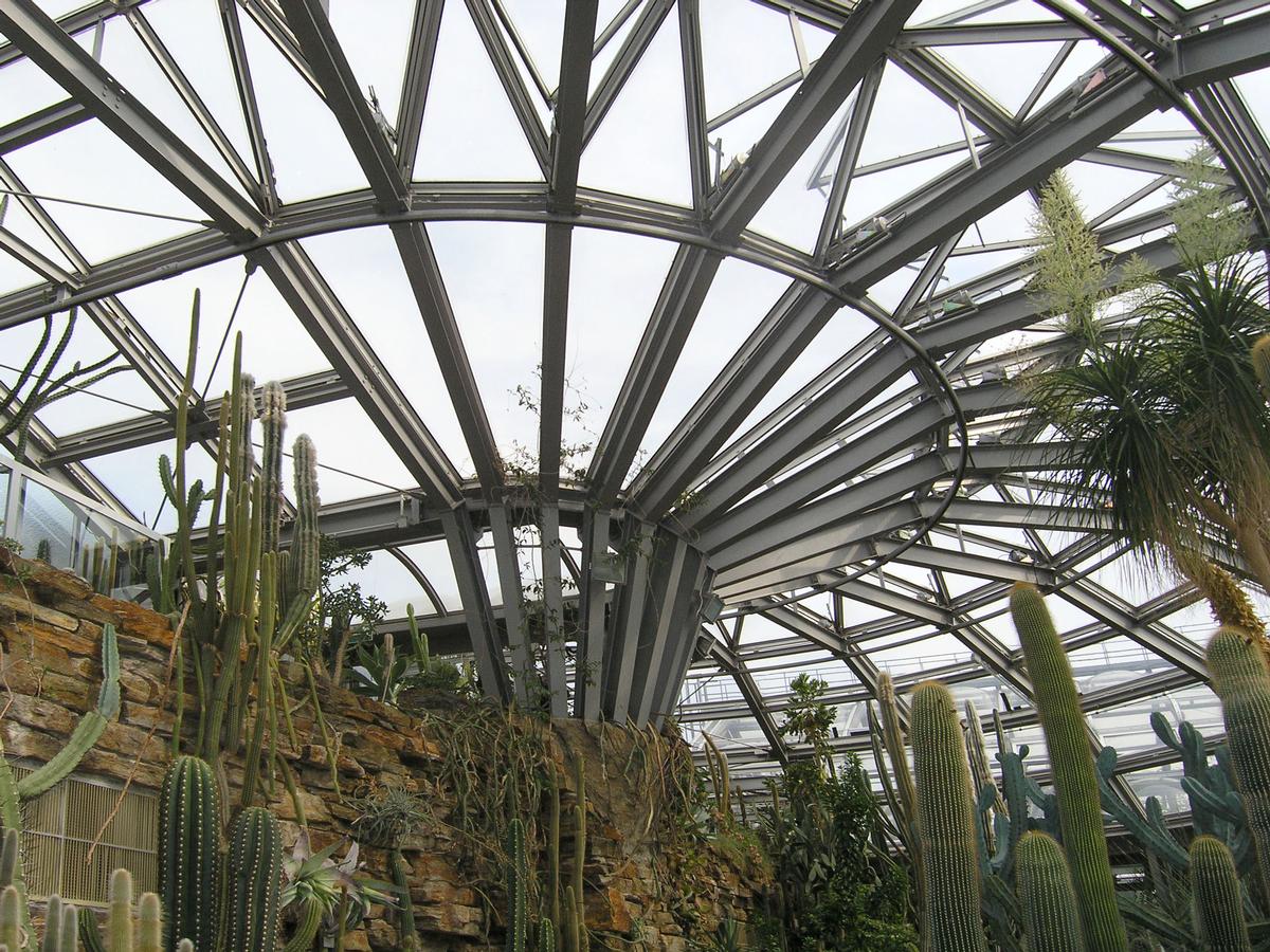 Jardin botanique de BerlinSerre I - cactées 