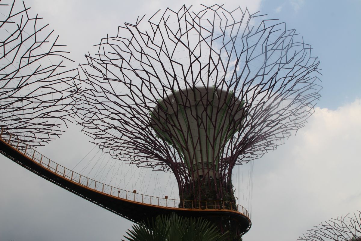 Gardens by the Bay Supertrees 