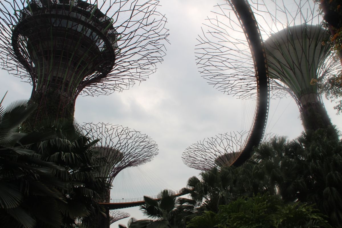 Gardens by the Bay Supertrees 