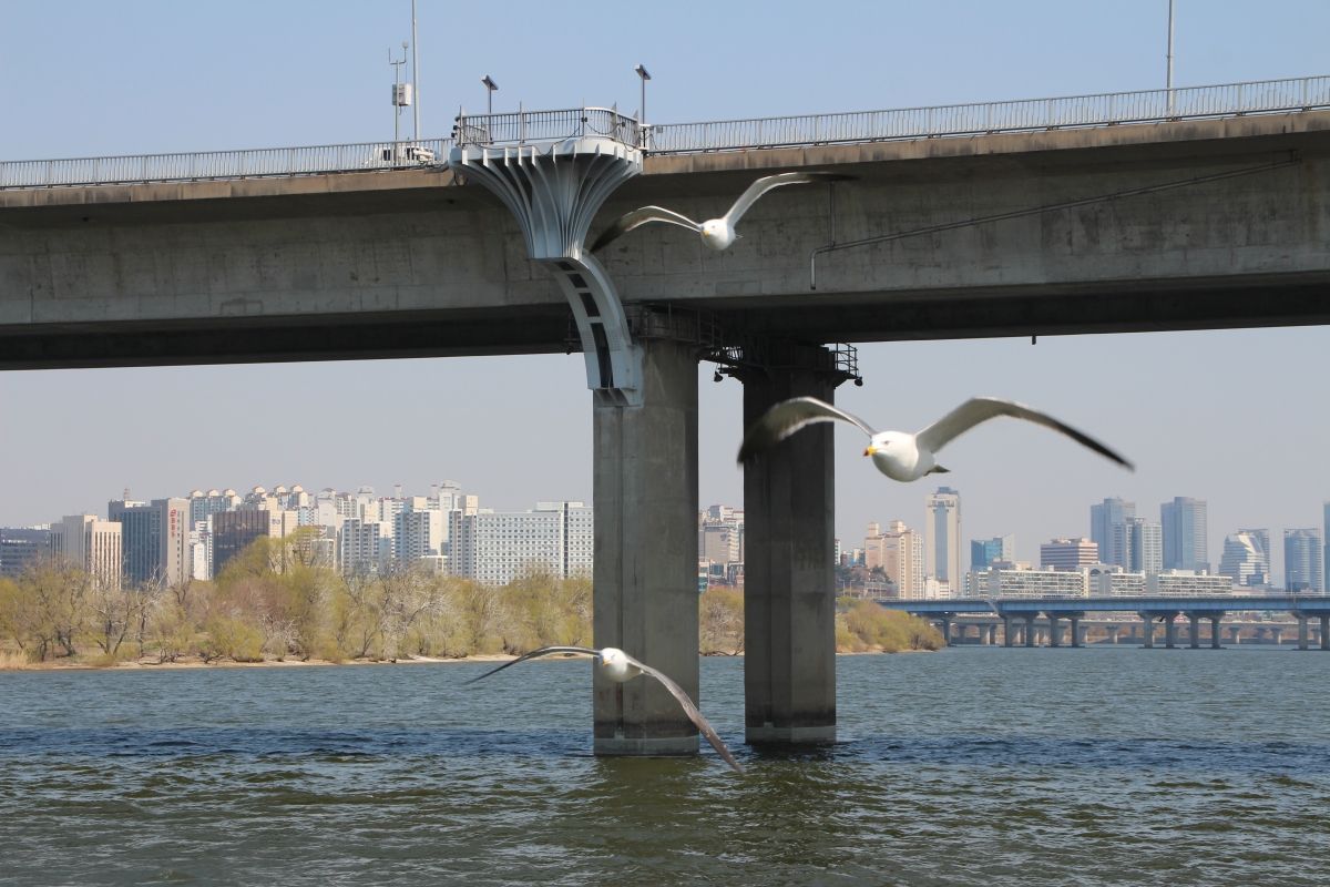 Seogang Bridge 