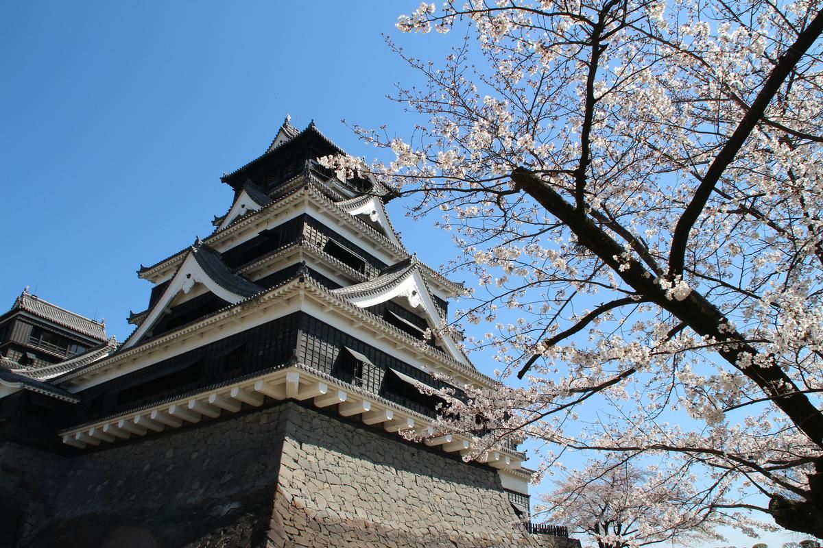 Château de Kumamoto 