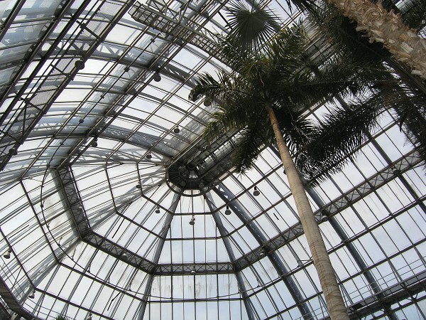 Jardin botanique de BerlinGrande serre tropicale 