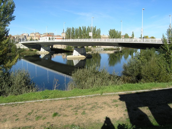Puente Principe de Asturias, Salamanca 