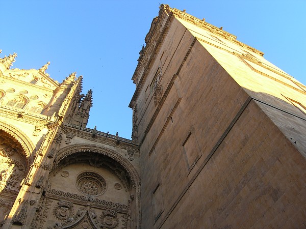 Cathédrale de Salamanque 