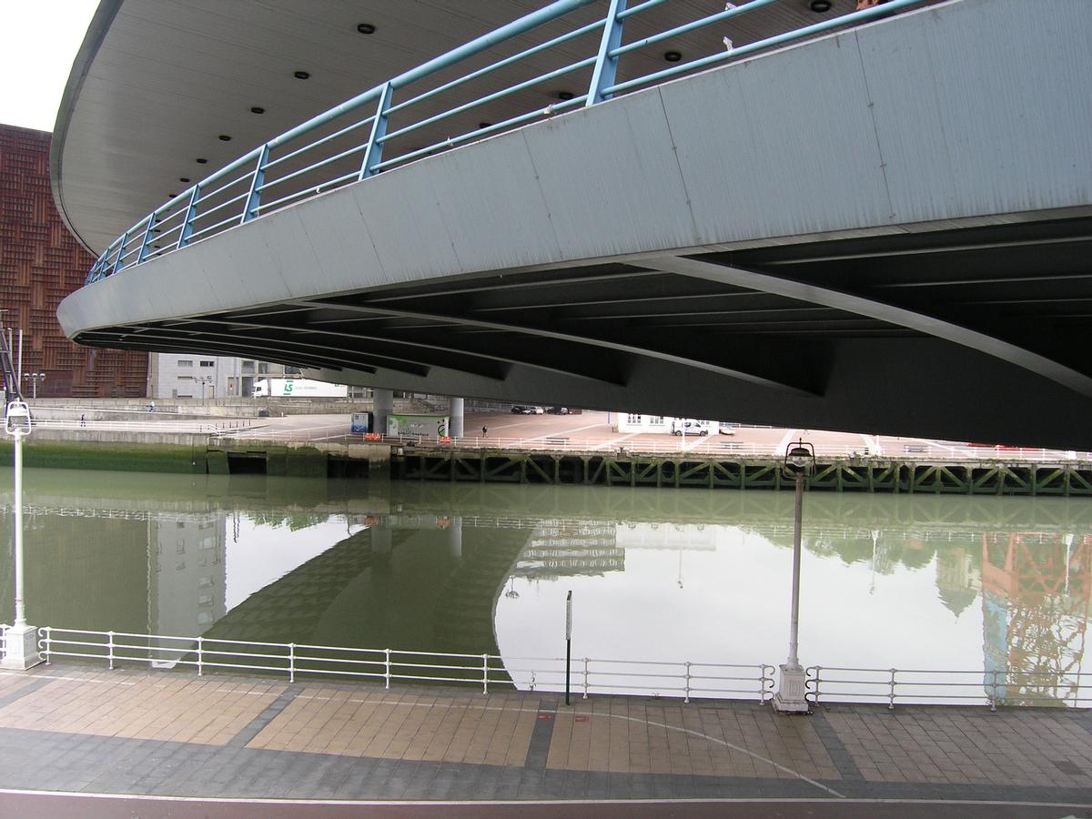 Puente Euskalduna, Bilbao 